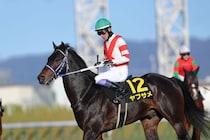 【淀短距離S】武豊ヤブサメが矢のような伸びで快勝