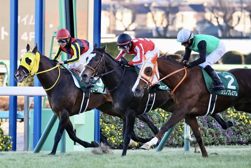 ラーグルフが登録抹消、乗馬へ