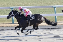 【雅S】モックモックが完勝…ルメール騎手はこの日の3勝目