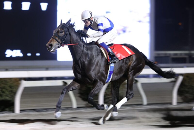 【高知・ベラトリックス特別】シンリンゲンカイがクビ差逃げ切りで3連勝、初の準重賞制覇