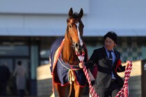 WIN5は229万円超の払戻し…シンザン記念はサンダーストラックがV