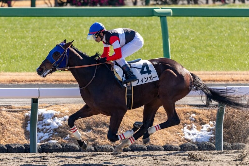 【ブルーバードカップ】羽田盃ステップレースにJRA馬4頭
