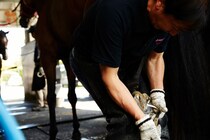 【装蹄師・西内荘コラム】雪に翻弄された帰路