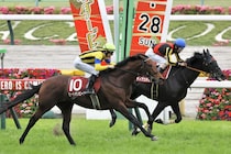 ヒートオンビートが登録抹消…乗馬へ