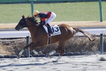 【中山2R】断然人気ウリズンベーが5馬身差圧勝