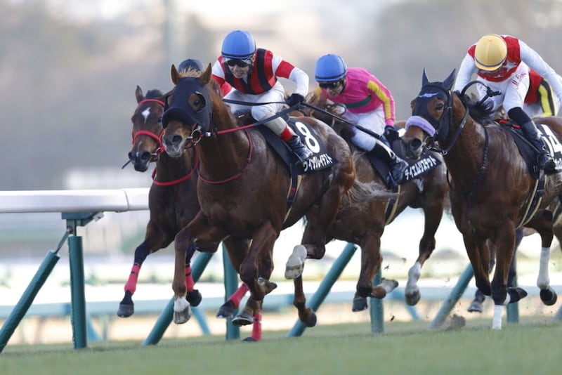 【カーバンクルS】9歳馬ウイングレイテストが混戦を制する