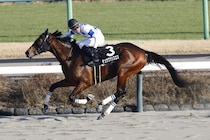 【アレキサンドライトS】得意コースでチュウワクリスエスが完勝、オープン入り