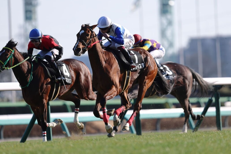 【菜の花賞】キタサンブラック産駒 アメティスタが連勝
