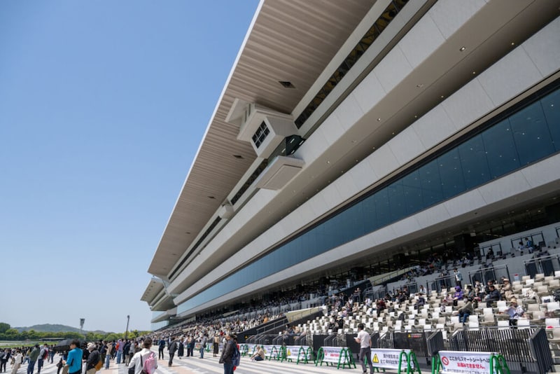 【新馬/京都5R】母はファンディーナ、クリスレジーナがデビューV