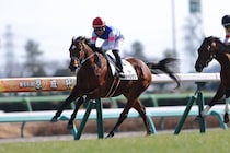 【中山7R】フィーリウスが抜け出す…断然人気レッドバンデは5着敗退