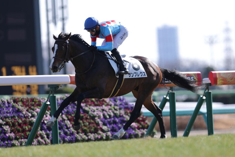 【新馬/中山5R】シルバーステート産駒 サンプレクスがデビューV