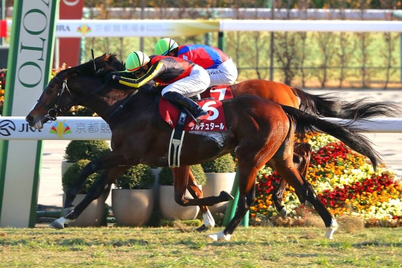 【日経新春杯】坂井瑠星騎乗 ゲルチュタールが重賞初制覇