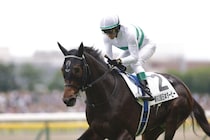 【AJCC登録馬】ショウヘイなど16頭