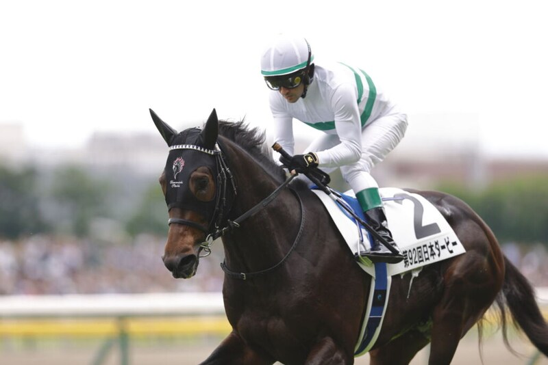 【AJCC登録馬】ショウヘイなど16頭