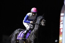 【プロキオンS登録馬】ロードクロンヌなど22頭