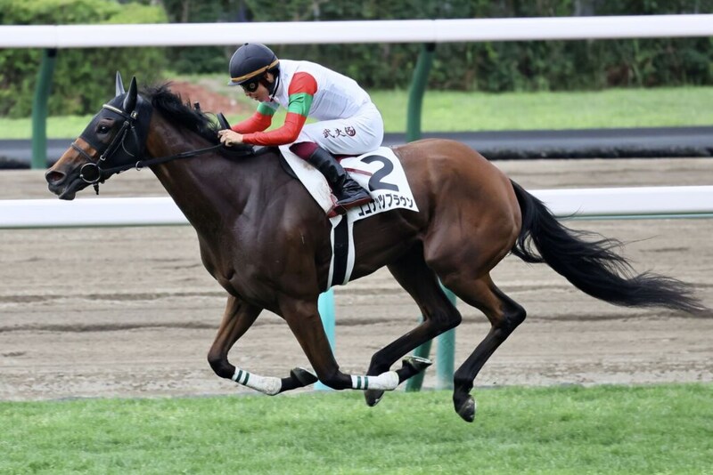 【小倉牝馬S登録馬】ココナッツブラウンなど23頭