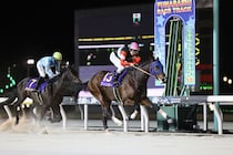 【ブルーバードカップ】戸崎圭太フィンガーが交流重賞初制覇