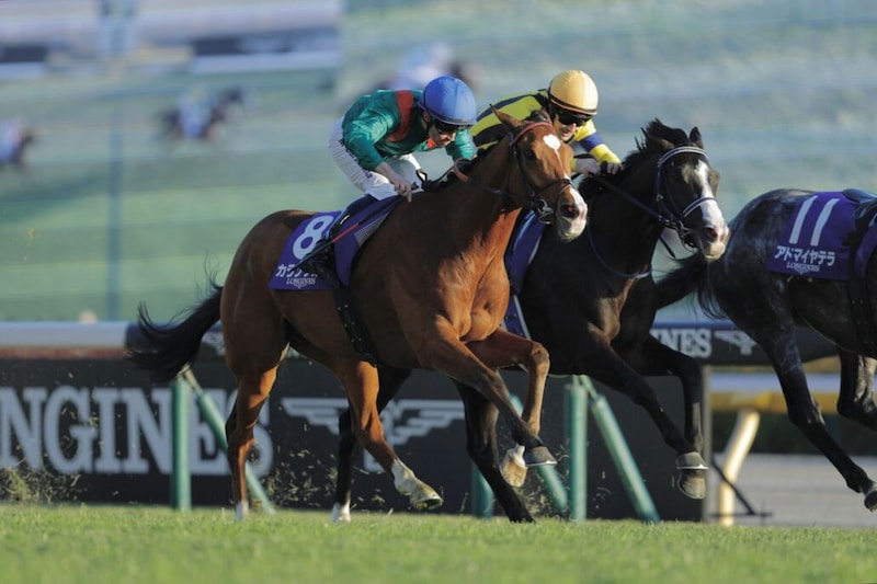 ジャパンカップが世界1位評価…IFHA発表「2025年ロンジンワールドベストレース」を受賞