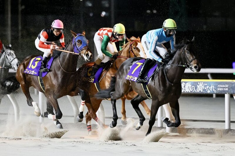 【ブルーバードカップ】初黒星カタリテ・高杉吏麒「いい形でマークされた」…JRAフィンガーが快勝