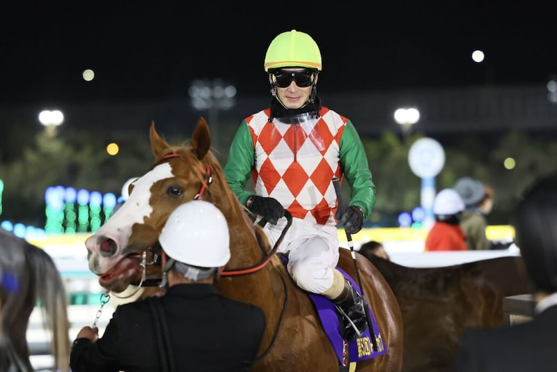 【ブルーバードカップ】大井所属ポッドフェスタは粘りを見せるも4着まで…矢野貴之「まだ本気で走っていない感じ」