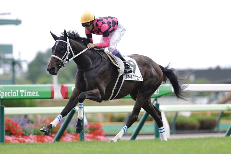 【武豊日記】各馬に合った走りと戦い方