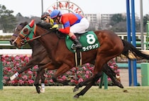 ライラックが引退…繁殖入り