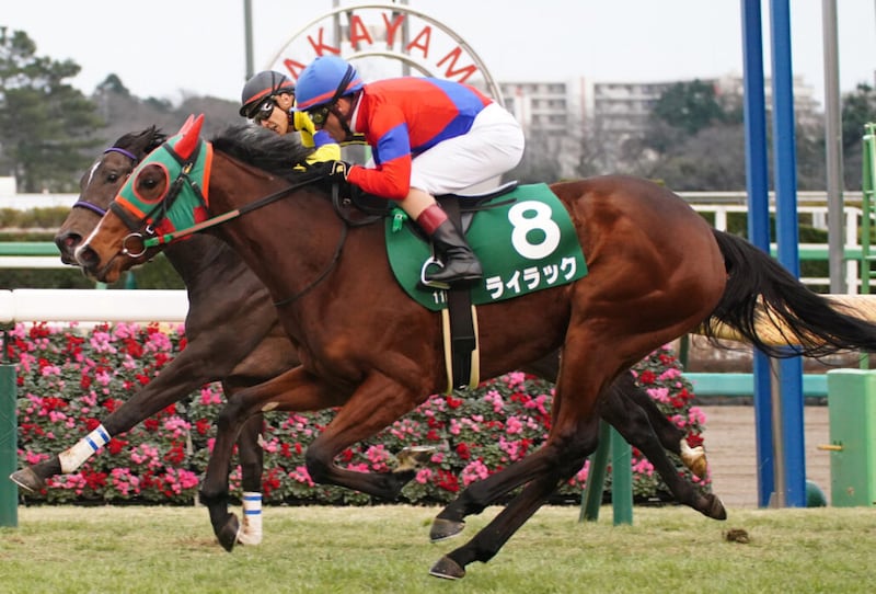 ライラックが引退…繁殖入り