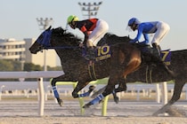 TCKの星・ディクテオン、ワールドベストレースホースランキング71位タイ…地方競馬所属馬として史上初の快挙