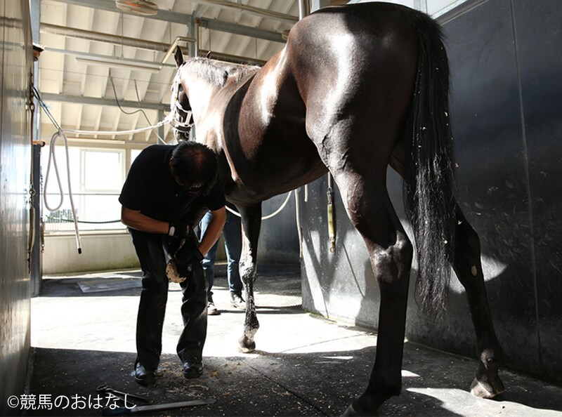 【装蹄師・西内荘コラム】寒波の中で迎える小倉開催