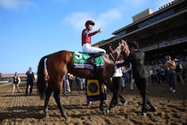 日本調教馬の快挙！フォーエバーヤング、エクリプス賞最優秀古馬ダート牡馬を受賞