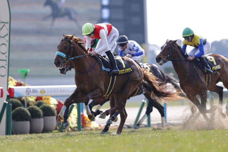 【若駒S】ショウナンハヤナミがデビュー2連勝…大外一気の差し切りV