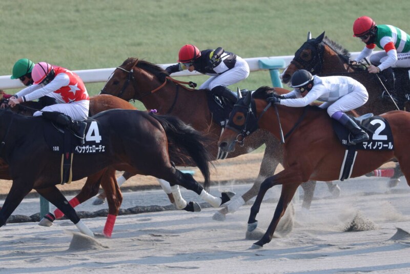 【下鴨S】苦しい展開を跳ね返してアスクシュタインが最内を強襲