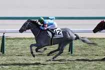 【新馬/中山5R】3連単925万円超！16番人気ヤマニンヘルシェが大波乱を演出