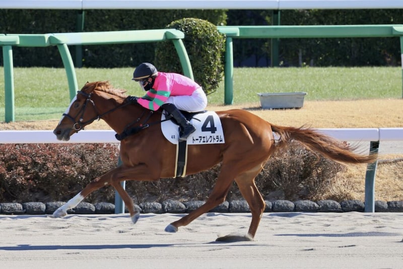 【新馬/中山4R】9番人気の伏兵トーアエレクトラムの豪快な追い込みが炸裂