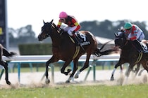 【河津桜賞】ソルパッサーレが2連勝…ジョバンニ半妹のキズナ産駒