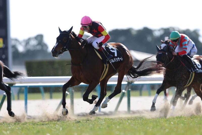 【河津桜賞】ソルパッサーレが2連勝…ジョバンニ半妹のキズナ産駒