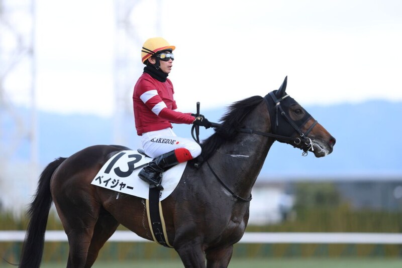【新馬/京都5R】良血ペイジャーがデビューV…ピクシーナイト半弟