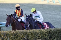 【AJCC】川田「今年が楽しみな初戦になったと思います」ショウヘイが重賞2勝目