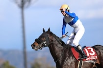 【プロキオンS】惜敗に終止符！ロードクロンヌが重賞初制覇…横山和「3番手のいいところに収まった」