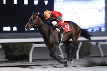 【高知・土佐水木特別】追われても譲らず！クスダマが準重賞2勝目