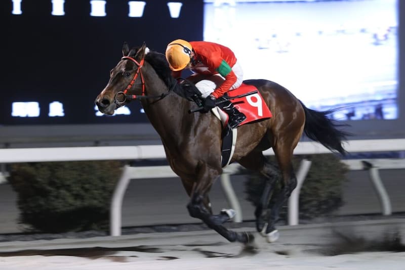 【高知・土佐水木特別】追われても譲らず!クスダマが準重賞2勝目