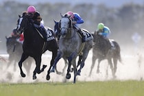 大竹正博調教師がJRA通算400勝を達成