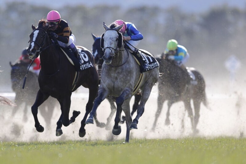 大竹正博調教師がJRA通算400勝を達成