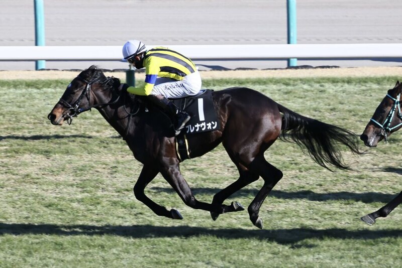 池江泰寿調教師がJRA通算900勝達成