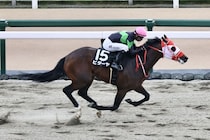 【根岸S登録馬】ビダーヤなど23頭