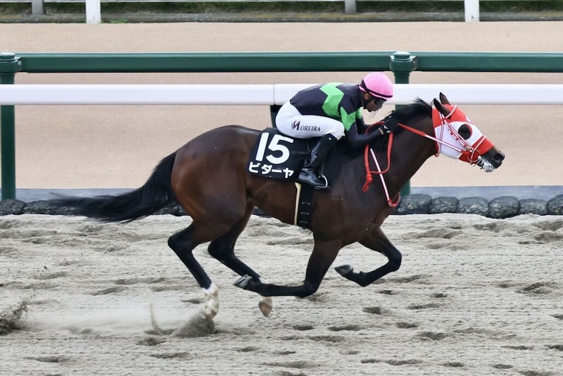 【根岸S登録馬】ビダーヤなど23頭