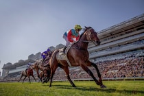 【香港競馬】カーインライジングが怒涛の17連勝…センテナリースプリントカップ