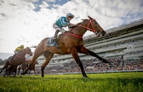 【香港競馬】ロマンチックウォリアー王者対決を制す…スチュワーズカップ圧勝