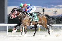 名古屋競馬2025年度表彰発表…ケイズレーヴら6頭が受賞、角田輝也師は151勝で2冠