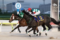 【大井・金盃】売得は前年比大幅ダウン…グリューヴルムが重賞制覇